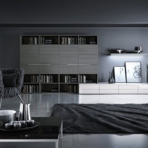 12 Black And White Grey Living Room 665x474  Black & White Interiors  Pict  4