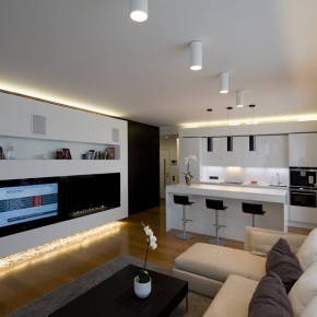 Am 190212 17  Apartment in Moscow by Alexey Nikolashin
 Photo  14