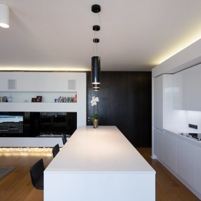 Am 190212 23  Apartment in Moscow by Alexey Nikolashin
  Image  20