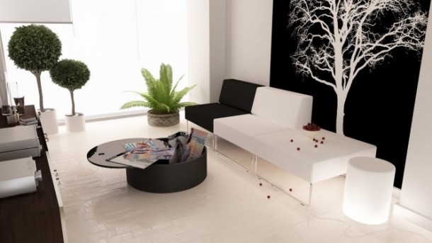 Black White Living Green Accents 665x374  Black & White Interiors  Image  11