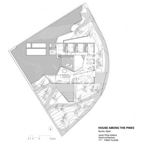 House Among Pines 22 Unique Architecture in Spain: House Among Pines Picture 22