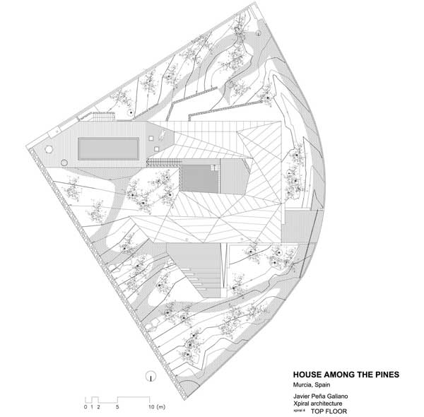 House Among Pines 23 Unique Architecture in Spain: House Among Pines Image 23