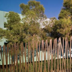 House Among Pines 6 Unique Architecture in Spain: House Among Pines Picture 6