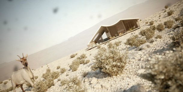 ScreenHunter 06 Oct. 11 15.03  Desert Home  Pict  2