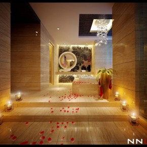 Steps To Bath  Dream Home Interiors by Open Design  Picture  1