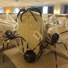 Scary Halloween spiders at office