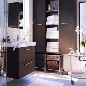 Bathroom Design Ideas 2012 by IKEA Cabinet Clean Fresh
