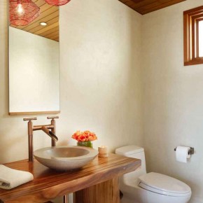 Careful Space Planning Tropical House Sink and Toilet