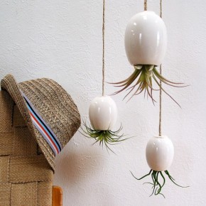 Awesome Hanging Plants Upside Down  Indoor Plants that Purify Air in Living Spaces  Pict  15