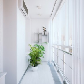 Corridor Plant  Small Apartment Design in St.Petersburgh  Pict  6